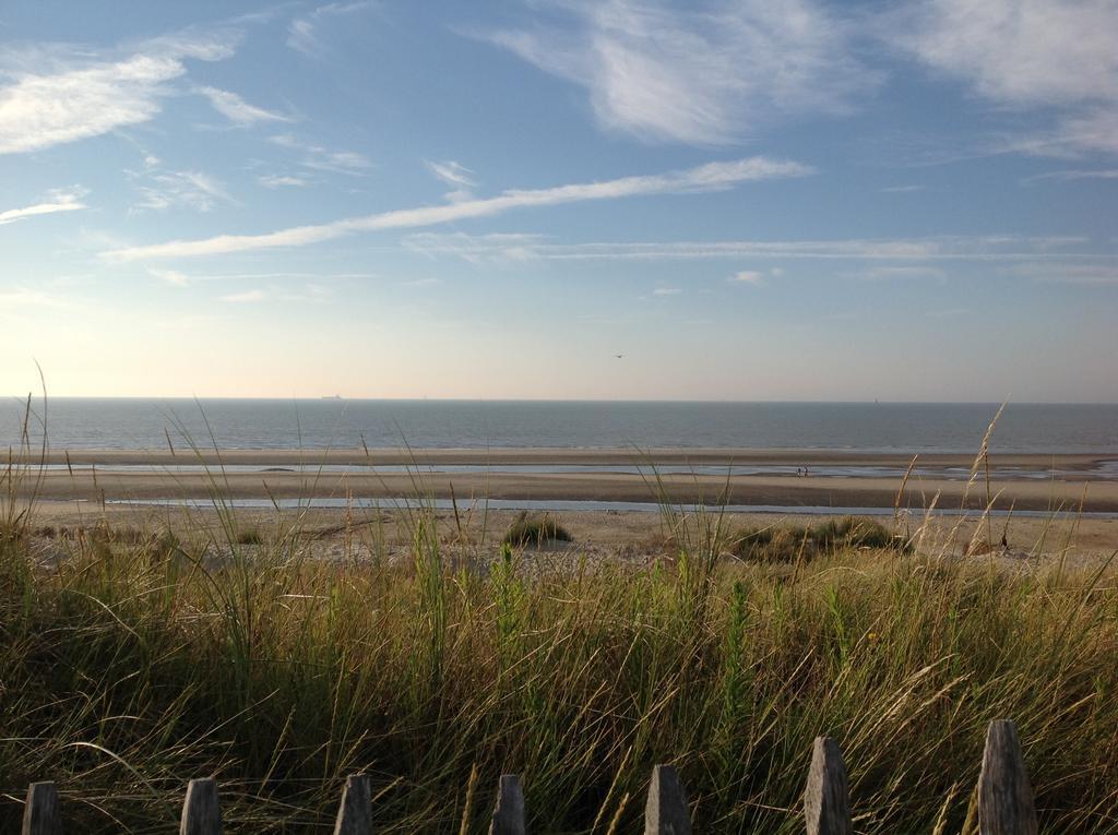 Kokkelikoo Bed and Breakfast Blankenberge Eksteriør billede